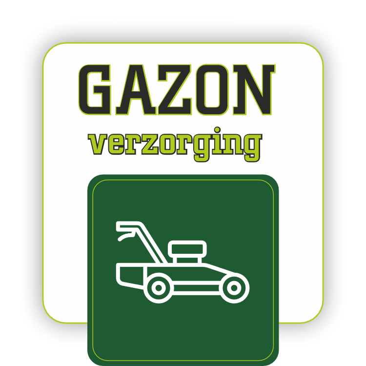 gazon
