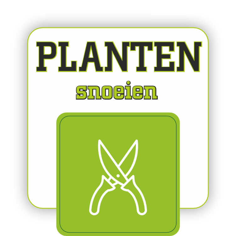 planten